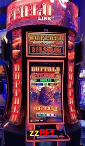 Tournaments zzbet